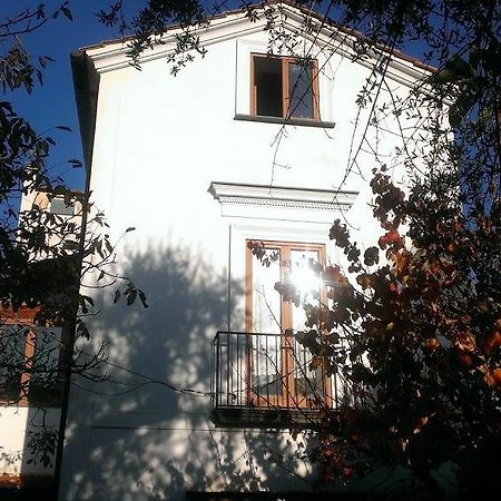 Apartament Domino House Montariello Półwysep Sorrentyński Zewnętrze zdjęcie