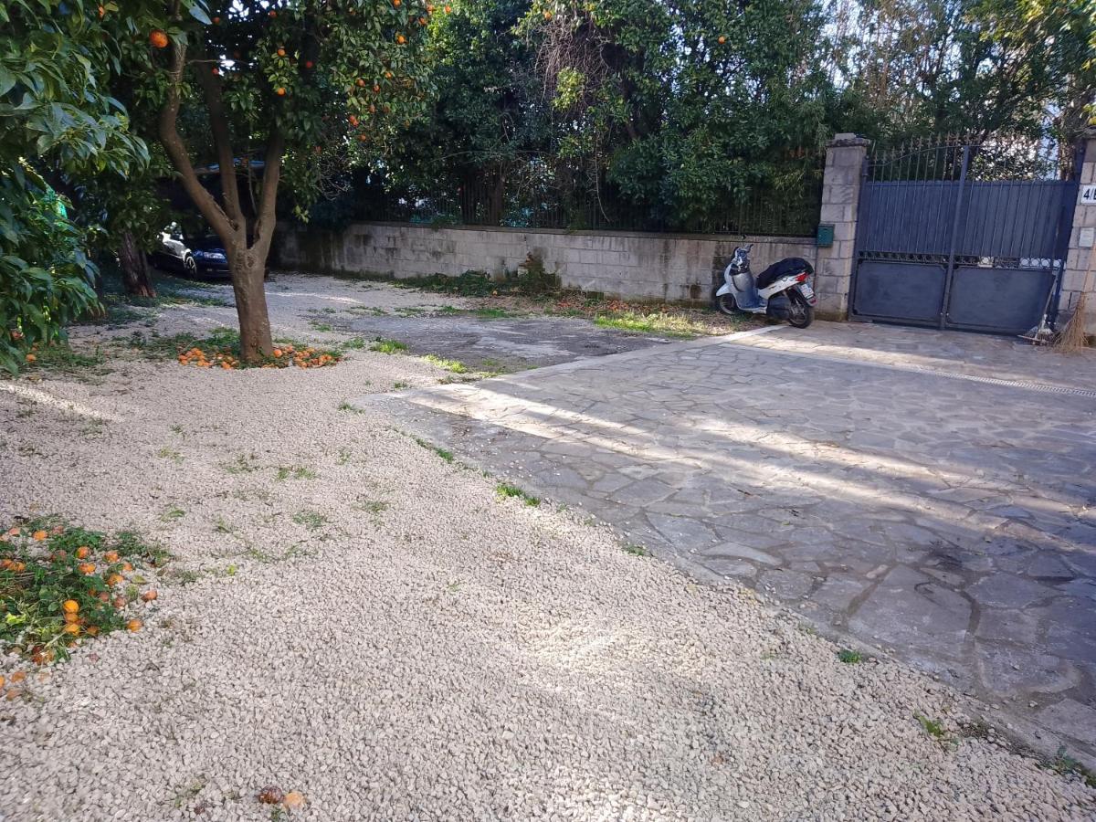 Apartament Domino House Montariello Półwysep Sorrentyński Zewnętrze zdjęcie